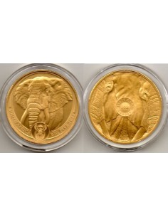 2022 Sud-Africa 50 Rands Big Five - Moneda ORO Elefante