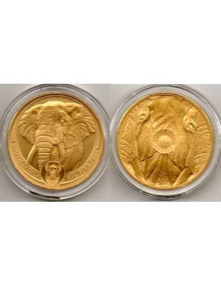 2022 Sud-Africa 50 Rands Big Five - Moneda ORO Elefante