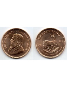 1983 Sud-Africa Krugerrand - Moneda ORO