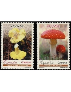 Año 2007 - 4337/38 Micología