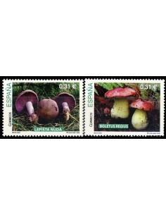 Año 2008 - 4435 Juegos y deportes tradicionales