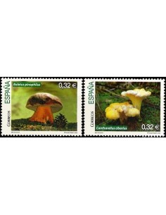 Año 2009 - 4517/18 Micología